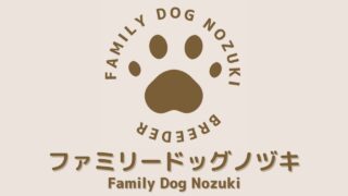 娘がシェルティー達をブラッシングしてくれました。