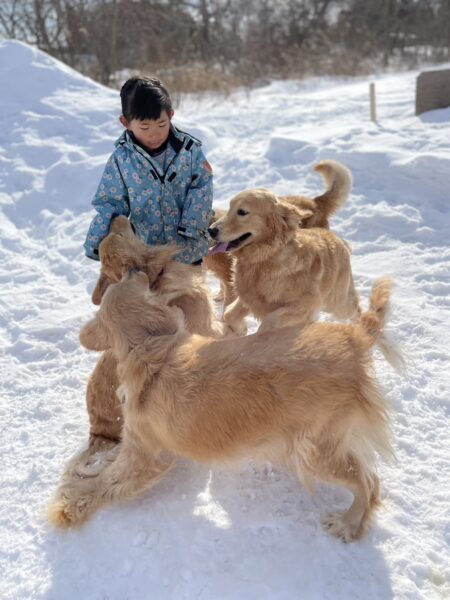 犬達には、いっぱい愛情を注いでいます。
