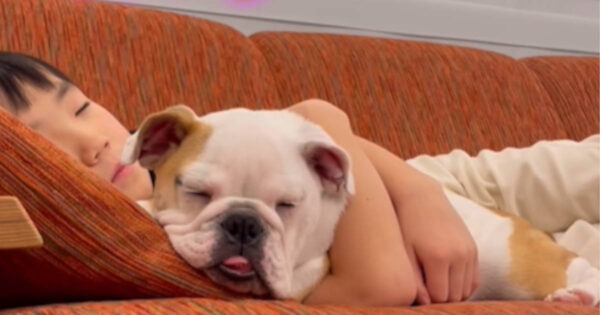 次男君は大好きなピーチちゃんと一緒に眠ってしまいました。