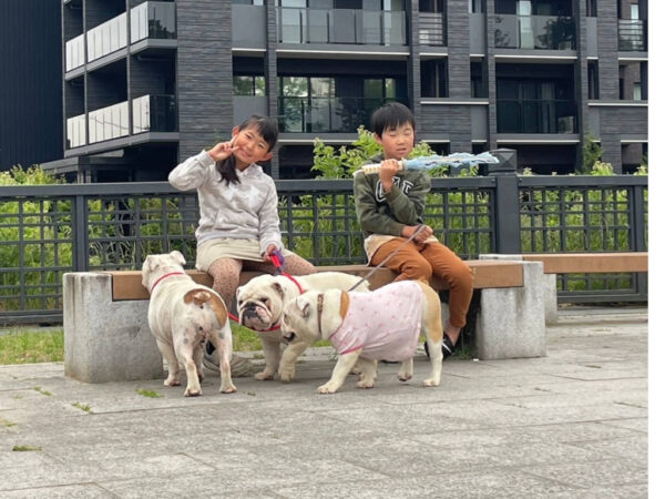 大好きなイングリッシュブルドッグと一緒に仙台にお出かけして、大喜びの娘と息子